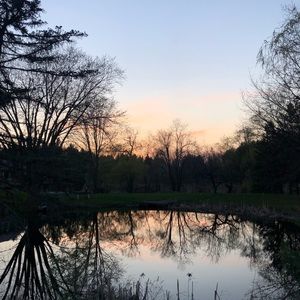 Meet your Posher, Norah